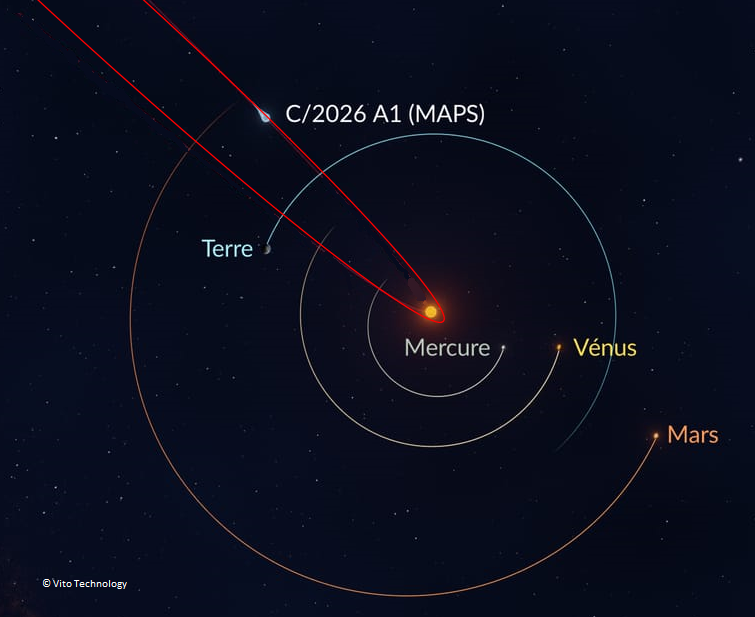 Orbite de la comète C/2026 A1 (MAPS)